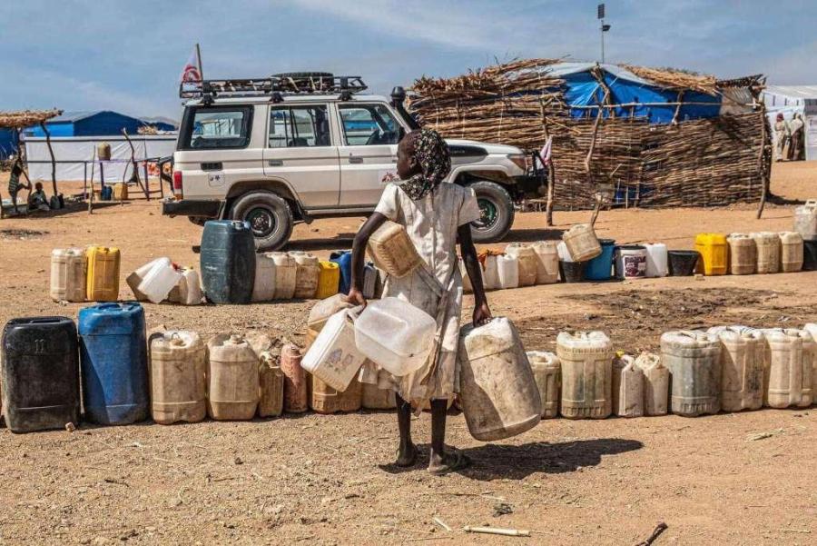 Reclaiming Earth: Nurturing Resilience Against Desertification and Drought